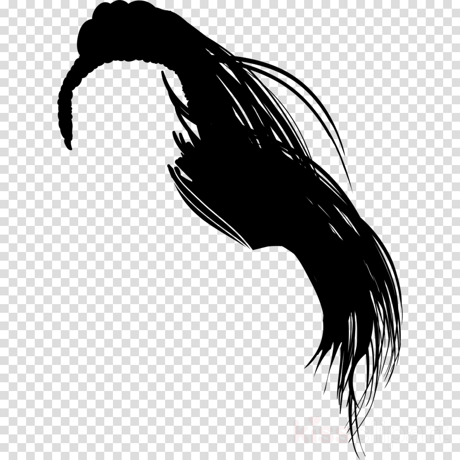 Beak Clipart Comb Horse Hair - Heart Balloon Transparent Background (900x900), Png Download