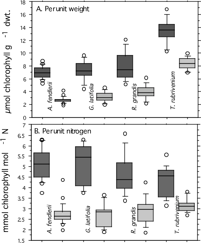 Chlorophyll Content Per Unit Leaf Weight And Unit Leaf - Diagram (790x790), Png Download