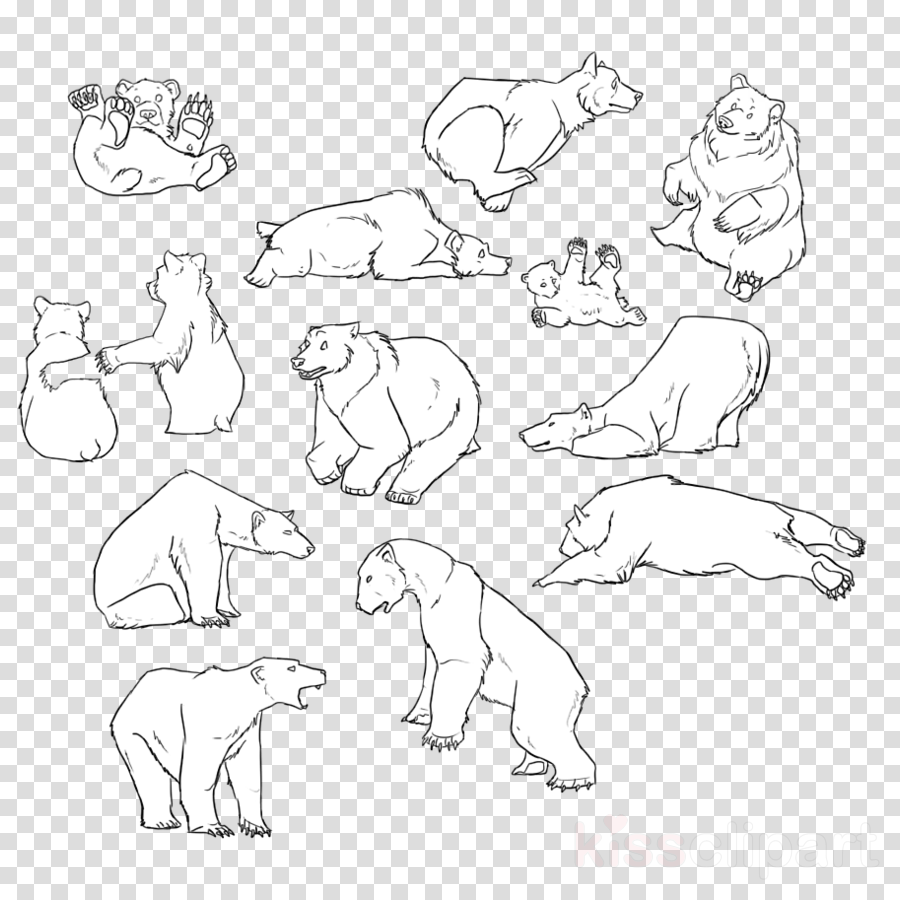 Grizzly Bear Outline Tattoo Clipart Polar Bear American (900x900), Png Download
