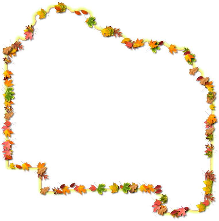 A Yellow And Orange Outline Map Of Alachua With Fall - Floral Design (762x768), Png Download