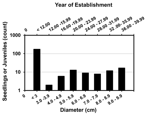 Bar Graph Of The Number Of Seedlings And Juvenile Acer - Calligraphy (903x365), Png Download