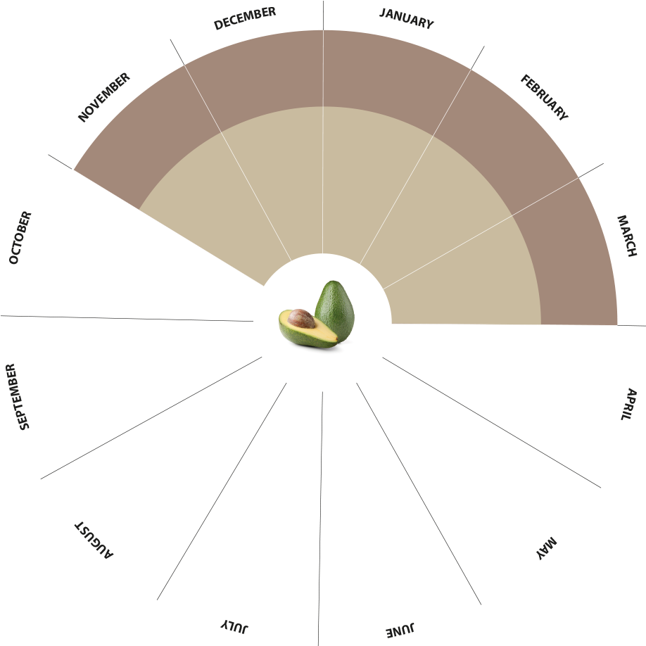 Bio Avocado Production Calendar - Avocado (1000x1000), Png Download