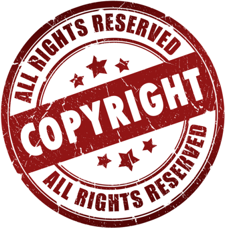 Visual Bliss Tattoo Studio - Copyright And Fair Use (480x479), Png Download