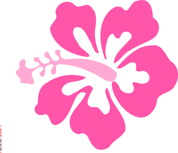 Simple Hawaiian Flower Drawing - Hibiscus Clip Art (600x513), Png Download