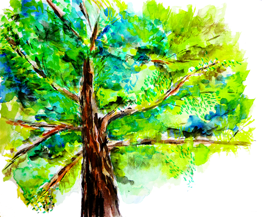Fsc Say What - Still Life (540x447), Png Download