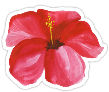 Summer Watercolor Beautiful Tropical Flower&quot - Sticker (375x360), Png Download