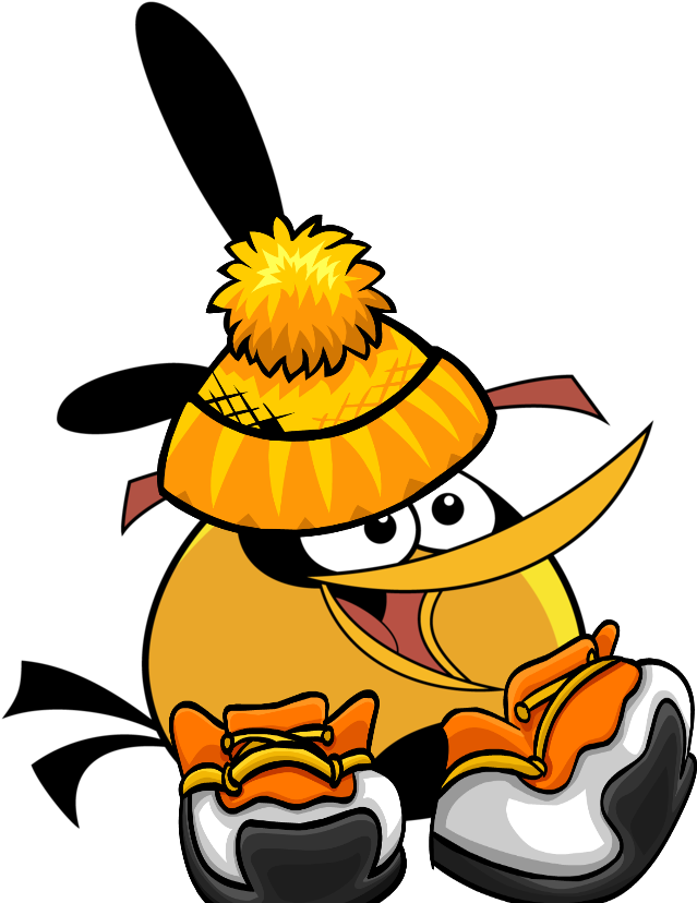 Image - Orange Angry Bird Png (900x900), Png Download