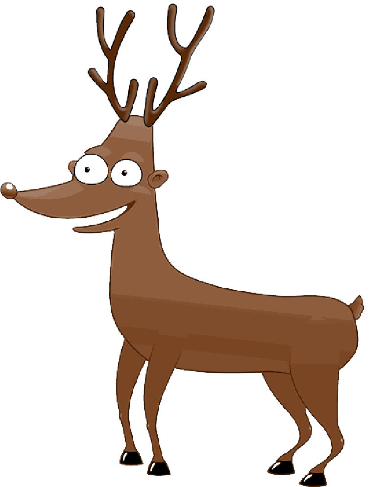 Mb Image/png - Custom Funny Deer Shower Curtain (800x994), Png Download
