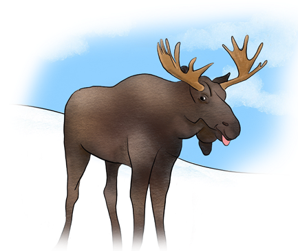 Moose (432x432), Png Download