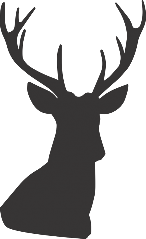 Deer,deer - Deer Hunting Silhouette (500x814), Png Download