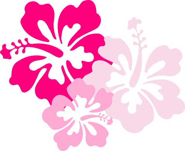 Hawaiian Flowers Clipart No Background Pink Flower Clip Art Png Full Size Png Download Seekpng