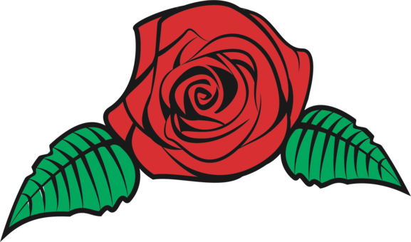 Flower Bouquet Rose Floral Design Drawing - Vector Rose Flower Png (577x340), Png Download