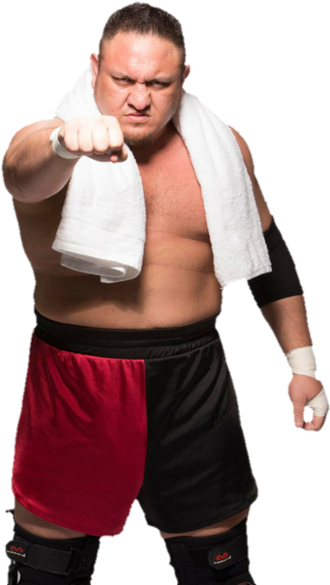 Honestly A Match Between John Cena And Rey Mysterio - Samoa Joe 2017 Render (400x600), Png Download
