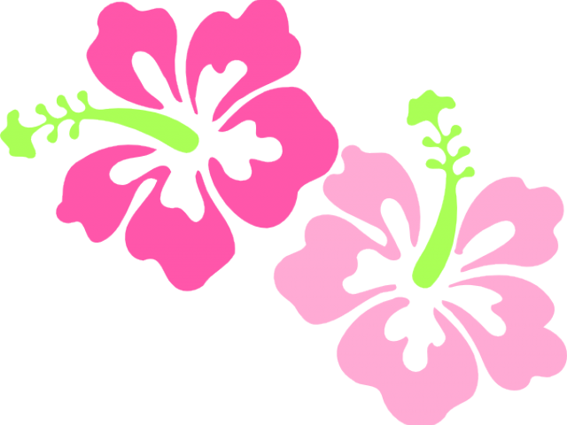 Hawaiian Flowers Clipart - Hibiscus Clip Art (640x480), Png Download