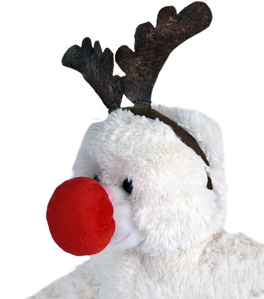 Reindeer Antlers & Nose - Reindeer (520x600), Png Download