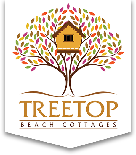 Beach (491x525), Png Download