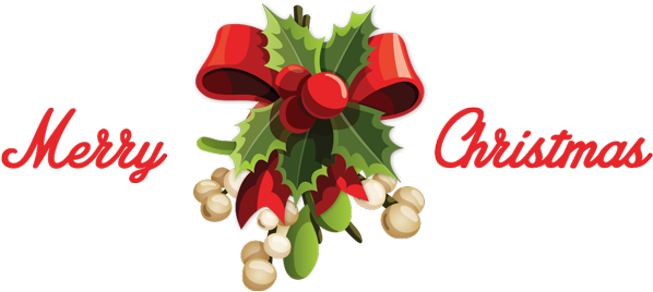 We Wish You All A Merry Christmas And A Happy And Successful (600x314), Png Download