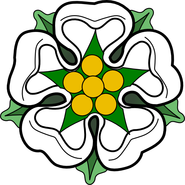 White Rose Clipart Rose Outline - White Rose Cartoon (594x597), Png Download