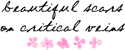 Transparent Time Quote - Quote Transparent (500x270), Png Download