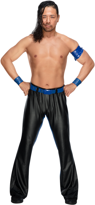 Shinsuke Nakamura - Shinsuke Nakamura Png (320x728), Png Download