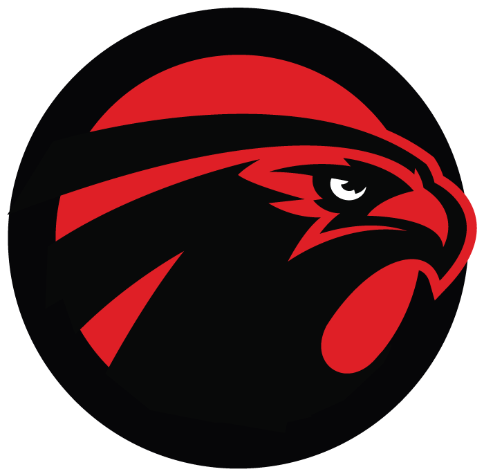 Falcons Blog Logo - Falcon Sport Logos (1000x800), Png Download