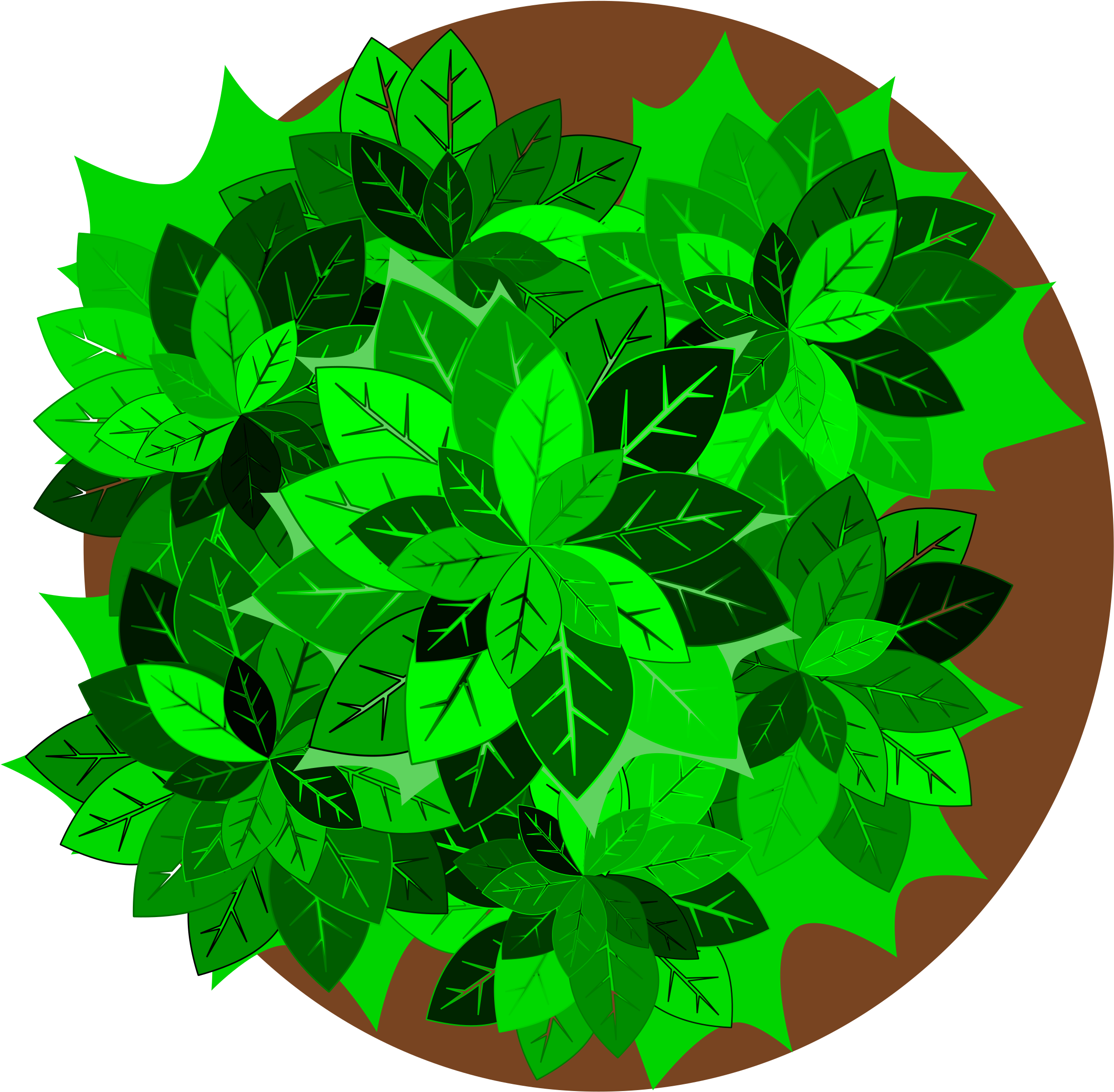 Tree Top View Vector Royalty Free Stock - Plants Clipart Top View (2400x2400), Png Download