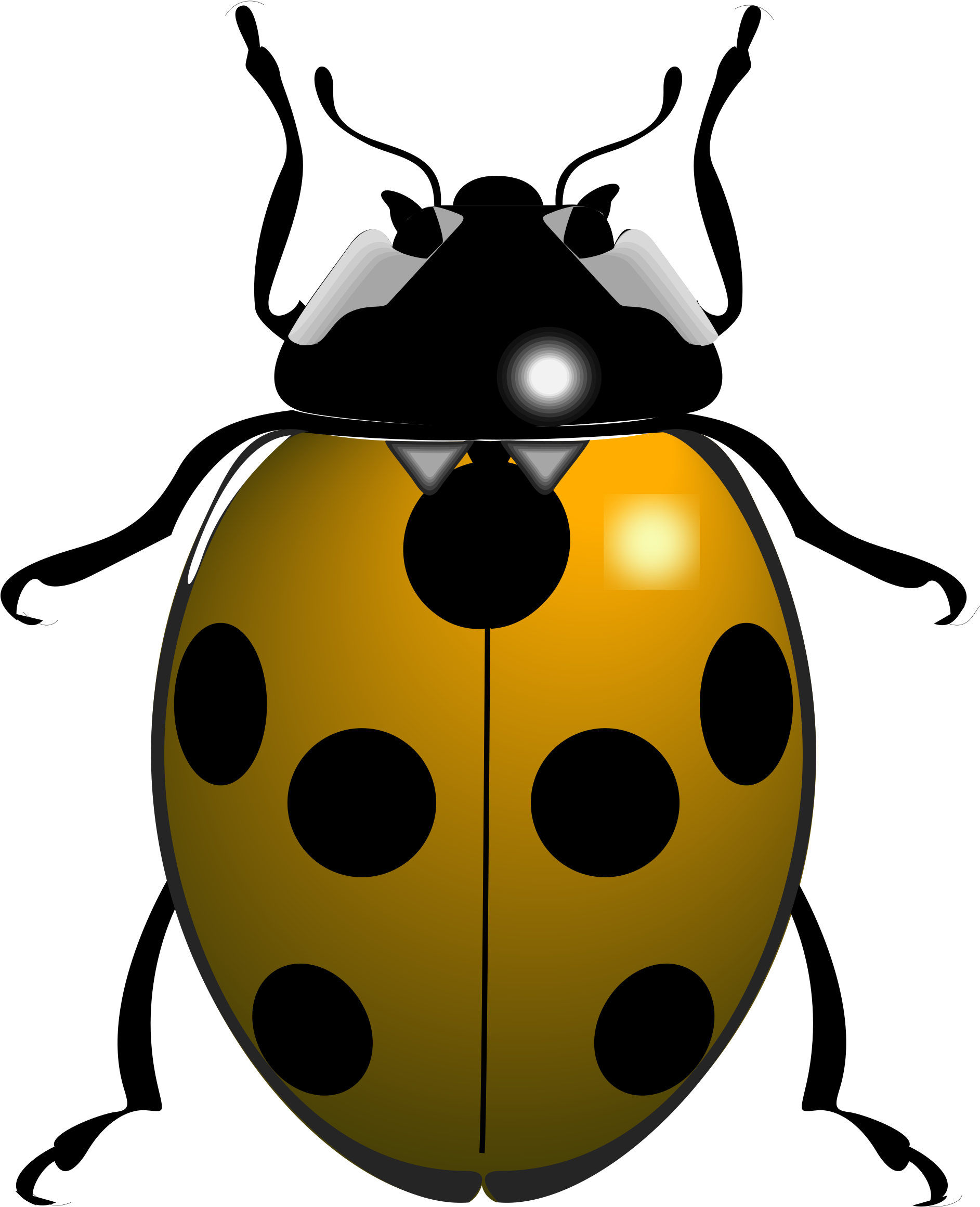 Big Image - Black And White Ladybird (1932x2400), Png Download