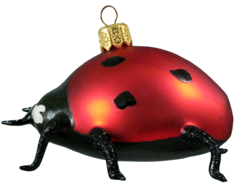 Ladybug Ladybug Ladybug - Ladybird Beetle (500x500), Png Download