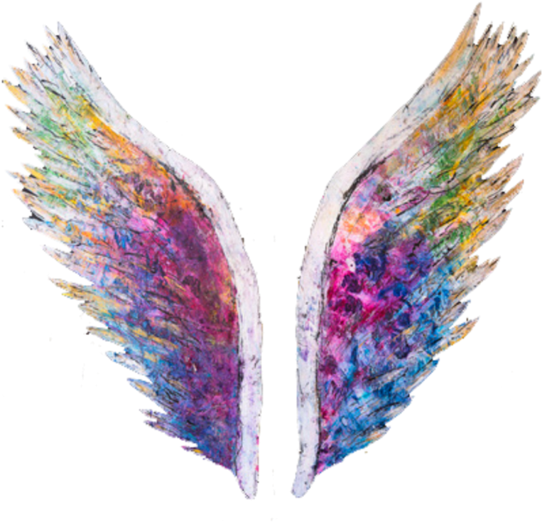 Modinha Ou Não, As Fotos Tiradas Em Paredes Com Asas - Asas Tumblr Png (400x397), Png Download