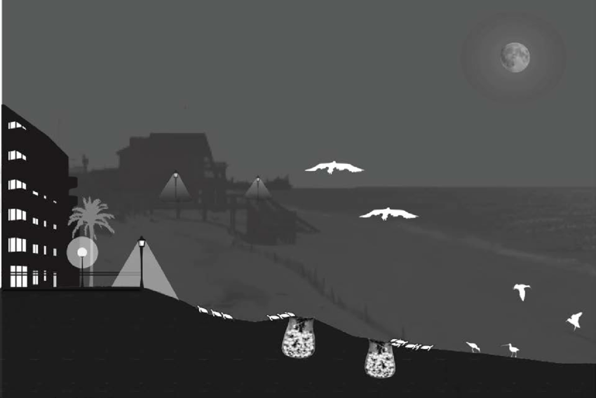 Beach Environments Are Vulnerable To The Effects Of - Travis Longcore (850x568), Png Download