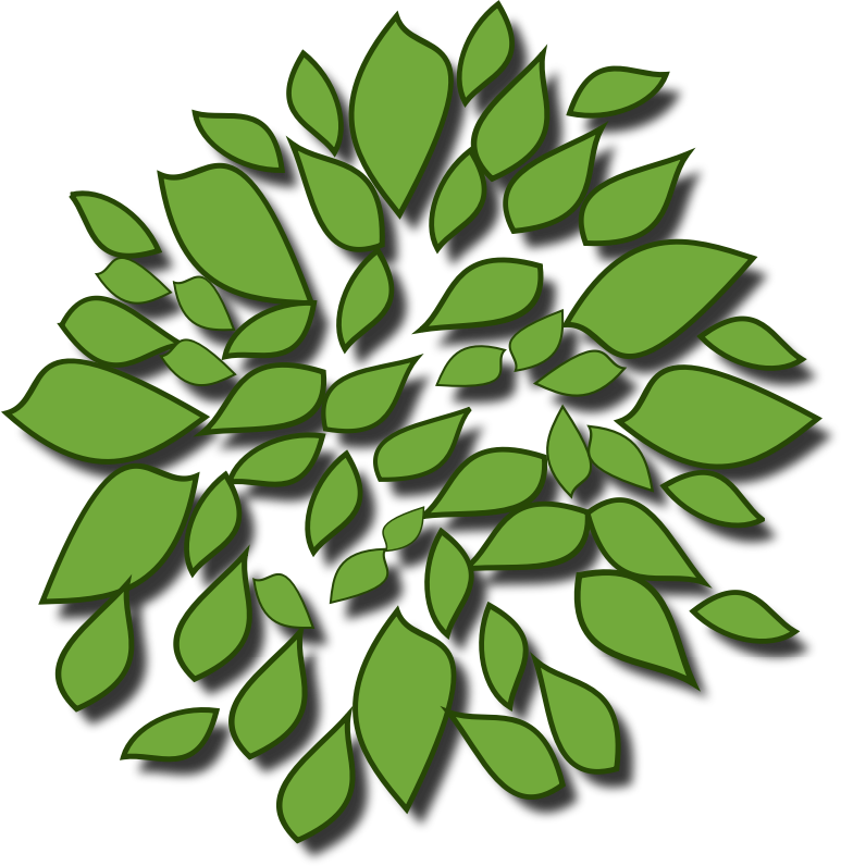 Tree 02 - Clip Art (773x796), Png Download