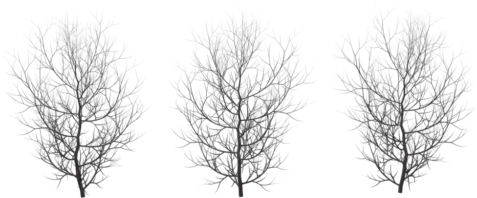 Winter Png Pic - Winter Png (1024x640), Png Download