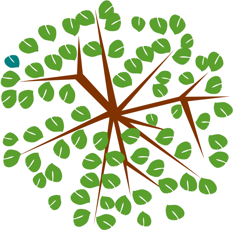 Free Tree-12c - Clip Art Tree From Above (800x800), Png Download