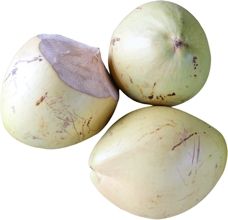 Free Png Top View Of Coconut Png Images Transparent - Coconut Top View Png (850x782), Png Download