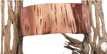 Tree Bark Top View Transparent3 Driftwood Full Size Png Download Seekpng