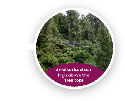 Look Out Over The Gulley, Enjoy The View - Shortstraw Pine (1024x432), Png Download