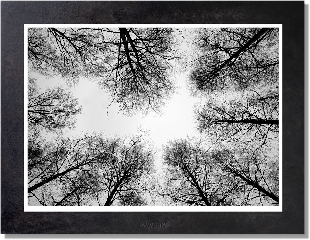 Dark Tree Tops View - Picture Frame (1289x1365), Png Download