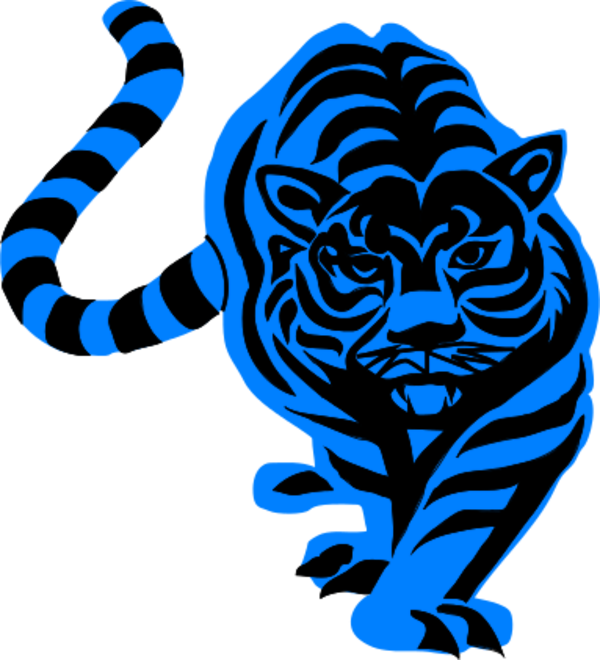 Tiger Walking Forward Looking Aggressive - Tiger Png Black And White (600x660), Png Download
