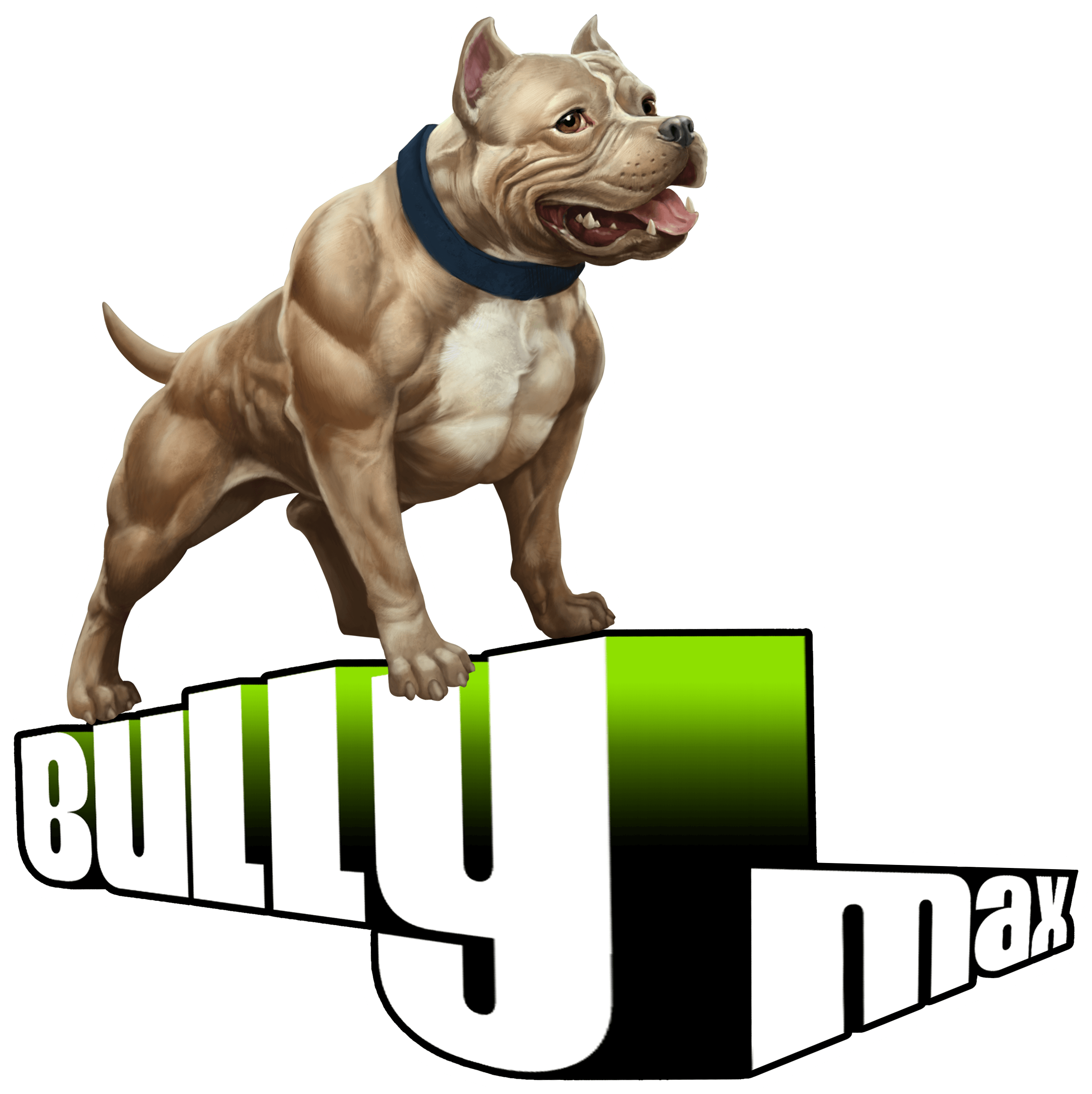 bully max chews