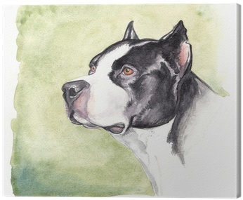 Lava Boxer Painted Throw Pillow, Multi-colored (400x400), Png Download