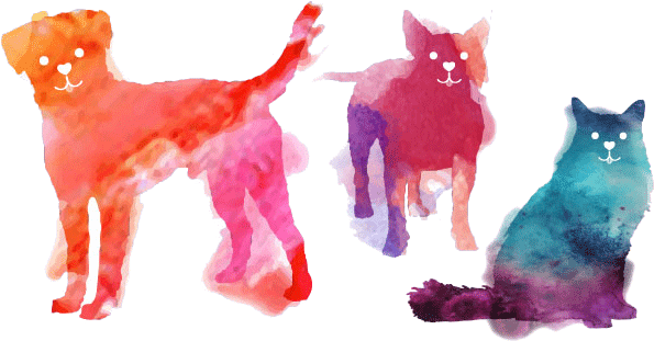 Pet Care (722x406), Png Download