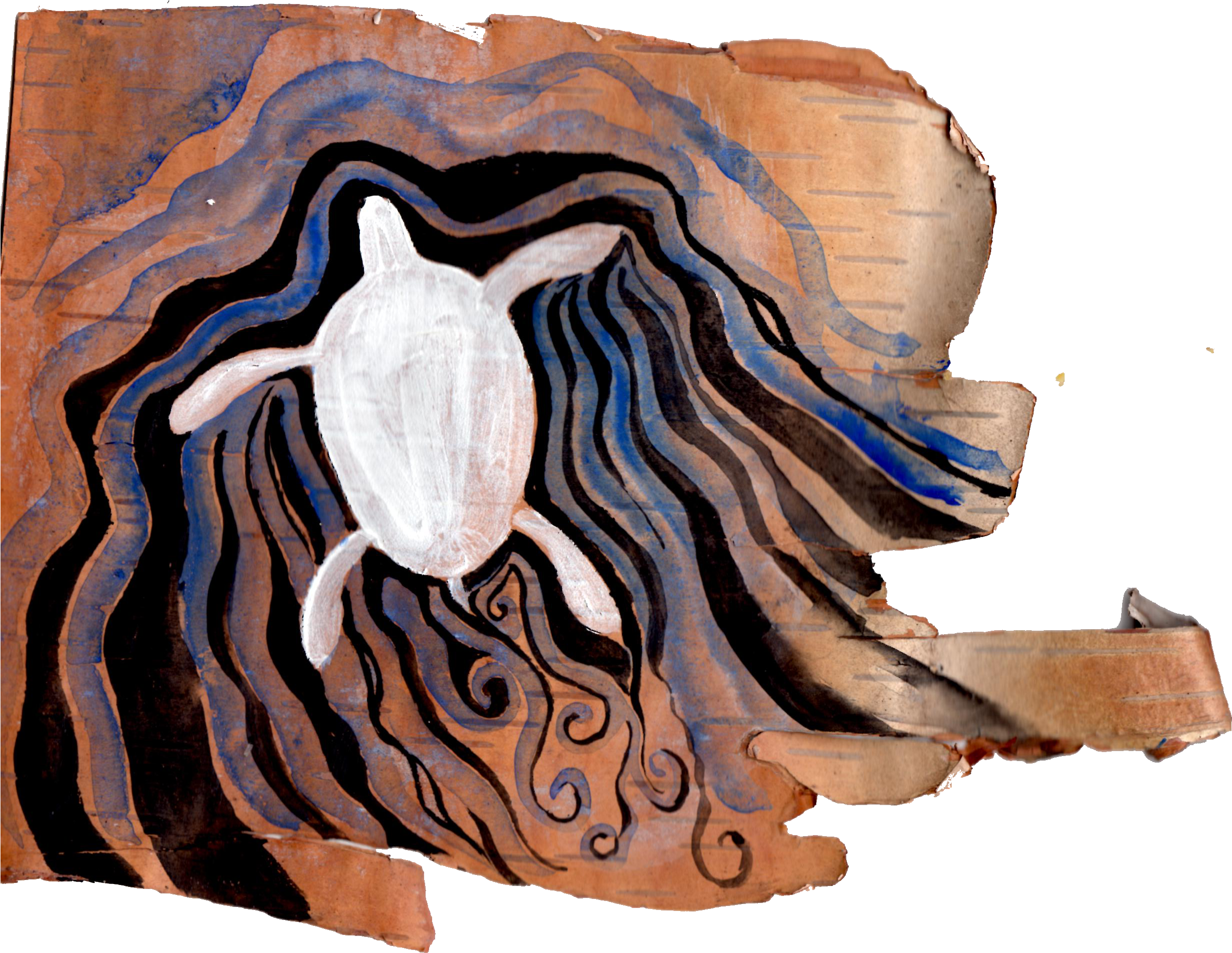 D Turtle On Birchbark - Totem (2508x1972), Png Download