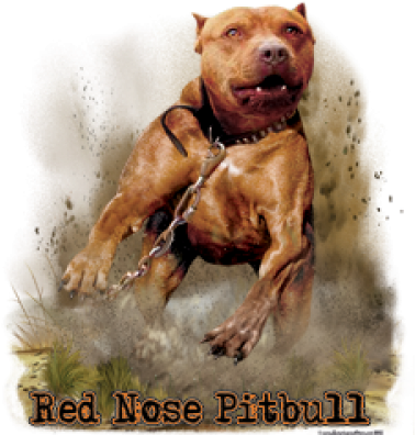 6948 - Mean Red Nose Pitbulls (400x400), Png Download