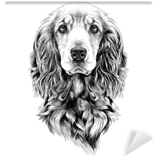 Dog Breed Cocker Spaniel Muzzle, Sketch Vector Graphics - Dog With Santa Hat Drawing (400x400), Png Download