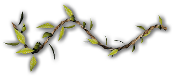 Vines Of Thorns Png Black And White Stock - Twig (400x300), Png Download