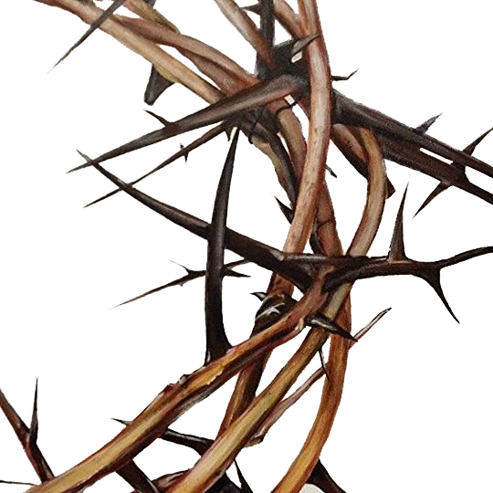 Thorns - Bts As Greek Gods (540x540), Png Download