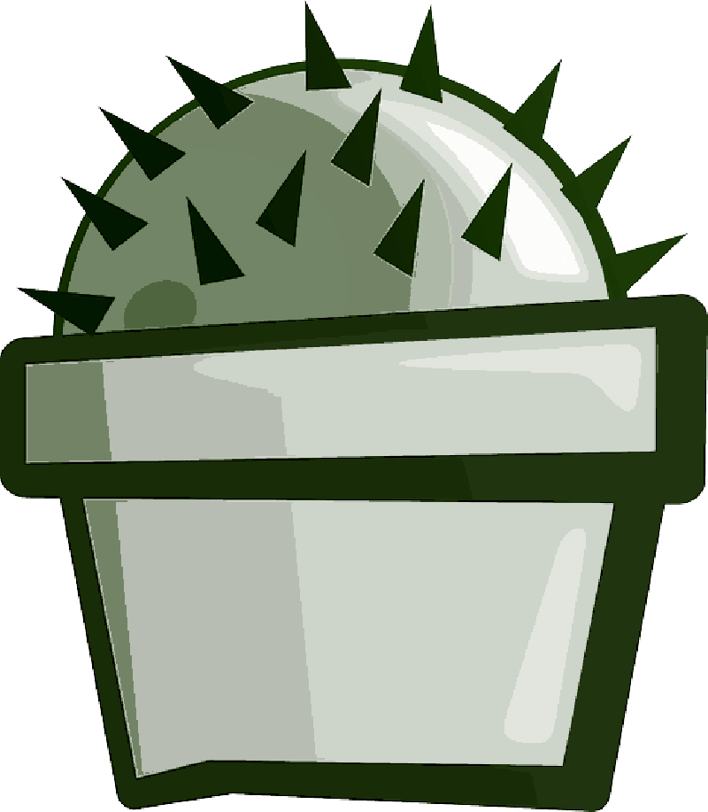 Mb Image/png - Cactus Clip Art (800x917), Png Download
