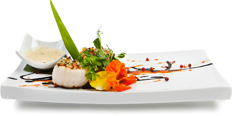 Food Modern (769x418), Png Download