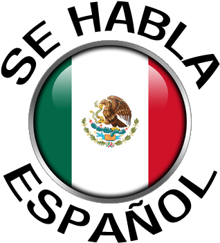 Espanol - - Mexican Flag Pillow Case (414x414), Png Download