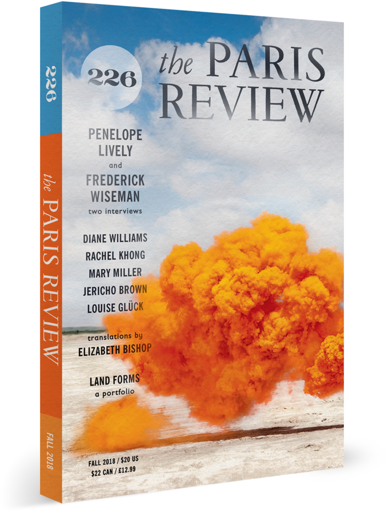 Paris Review Issue 203 (winter 2012) (780x1013), Png Download
